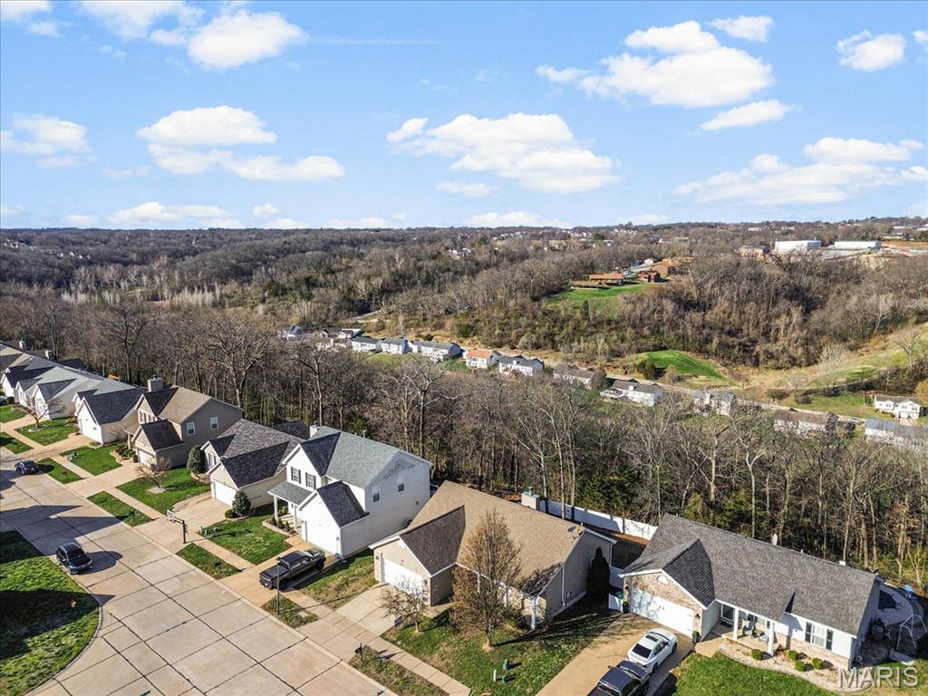 2613 Ruddy Ridge Drive High Ridge, MO 63049 - Photo 3 of 52