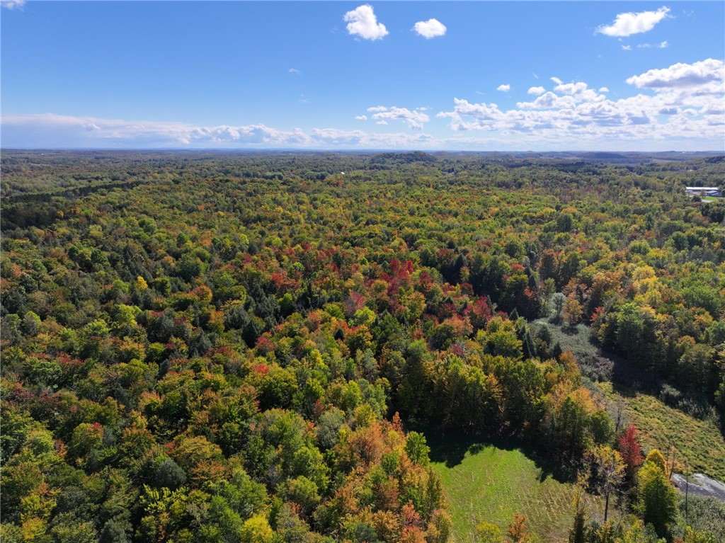 13562 Jenkins Road Wolcott, NY 13143 - Photo 7 of 22