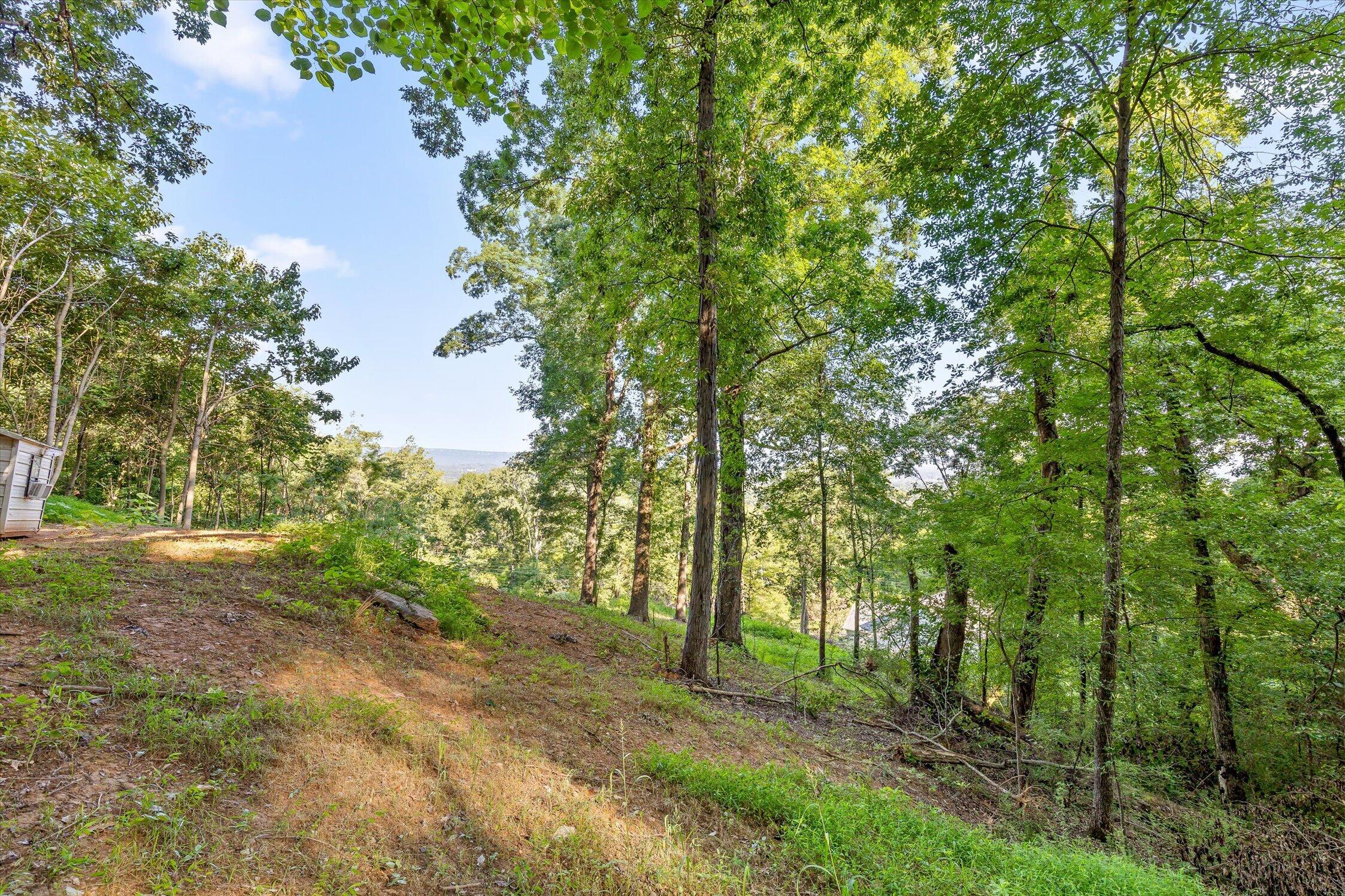 6833 Big Ridge Road Hixson, TN 37343 - Photo 15 of 22 33-6833 Big Ridge-12