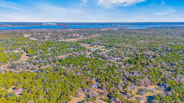 a view of a lush green space with sea