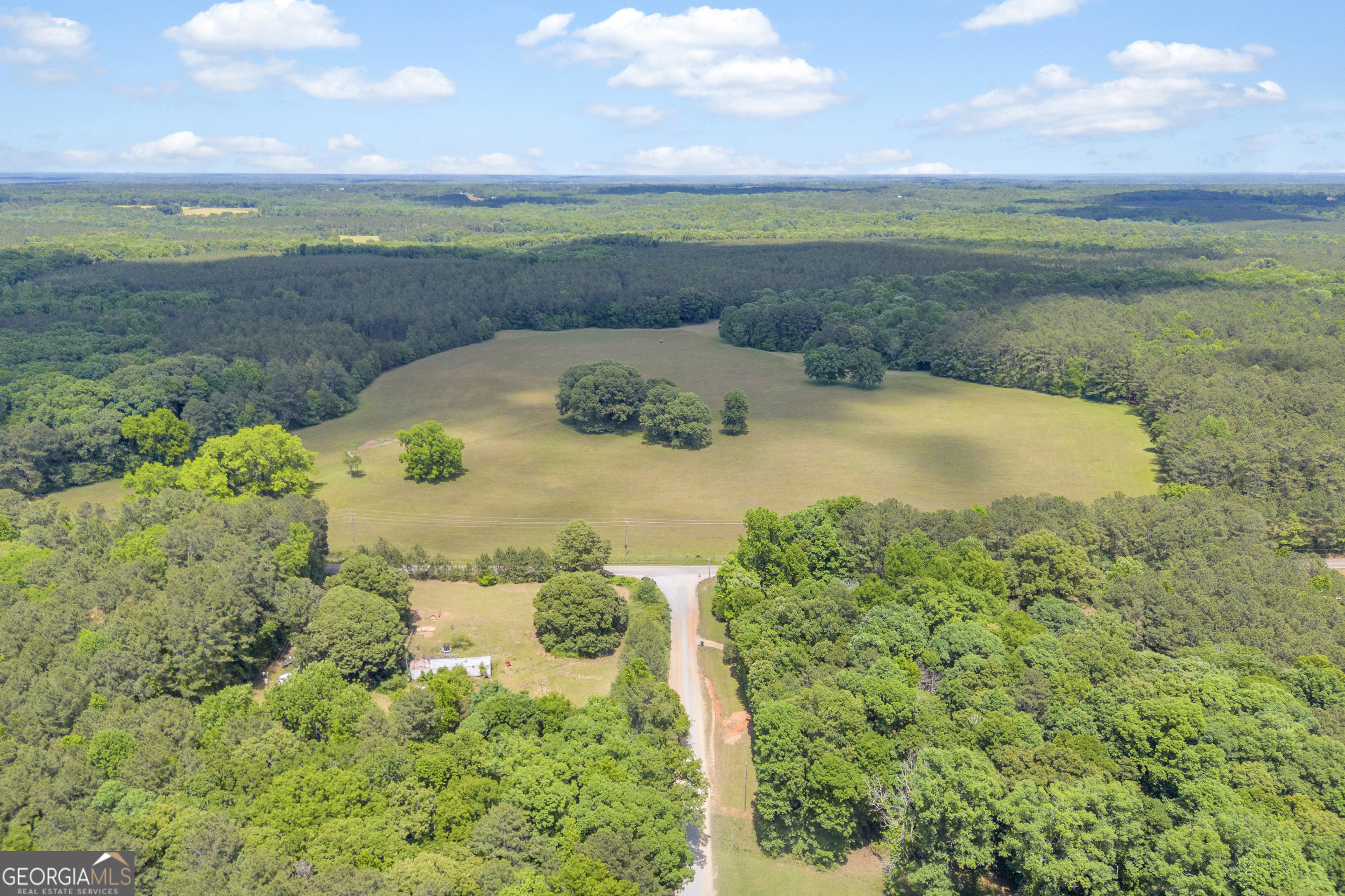 0 Pitts Chapel Road Monticello, GA 31064 - Photo 9 of 22