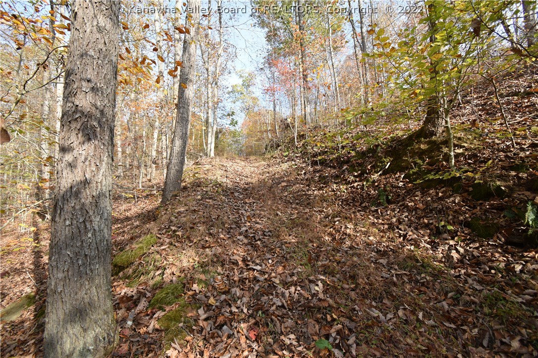167 Samp Branch Road Ona, WV 25545 - Photo 26 of 28 Gallery Image 26