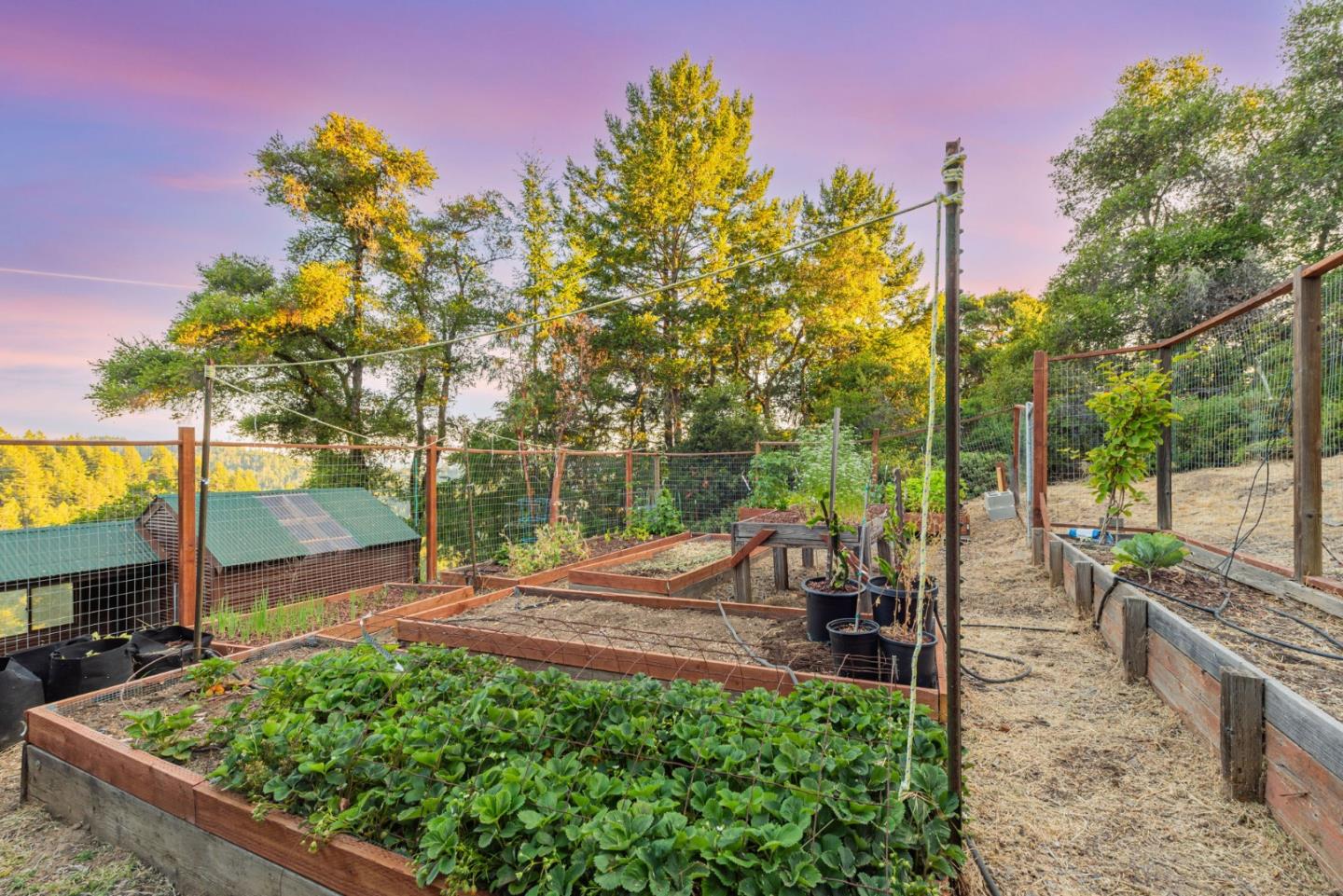 950 Oak Ridge Road Los Gatos, CA 95033 - Photo 78 of 107