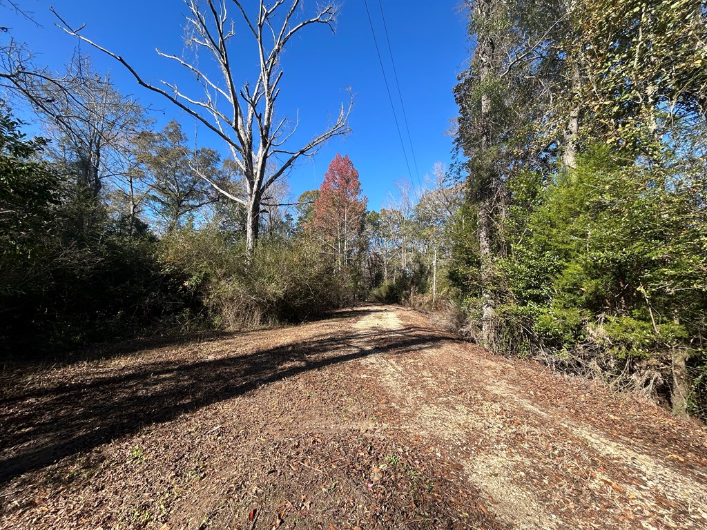 3630 Eddins Road Dothan, AL 36301 - Photo 9 of 43