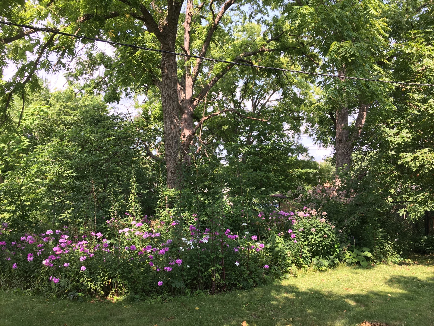 614 Locust Street Sycamore, IL 60178 - Photo 3 of 30