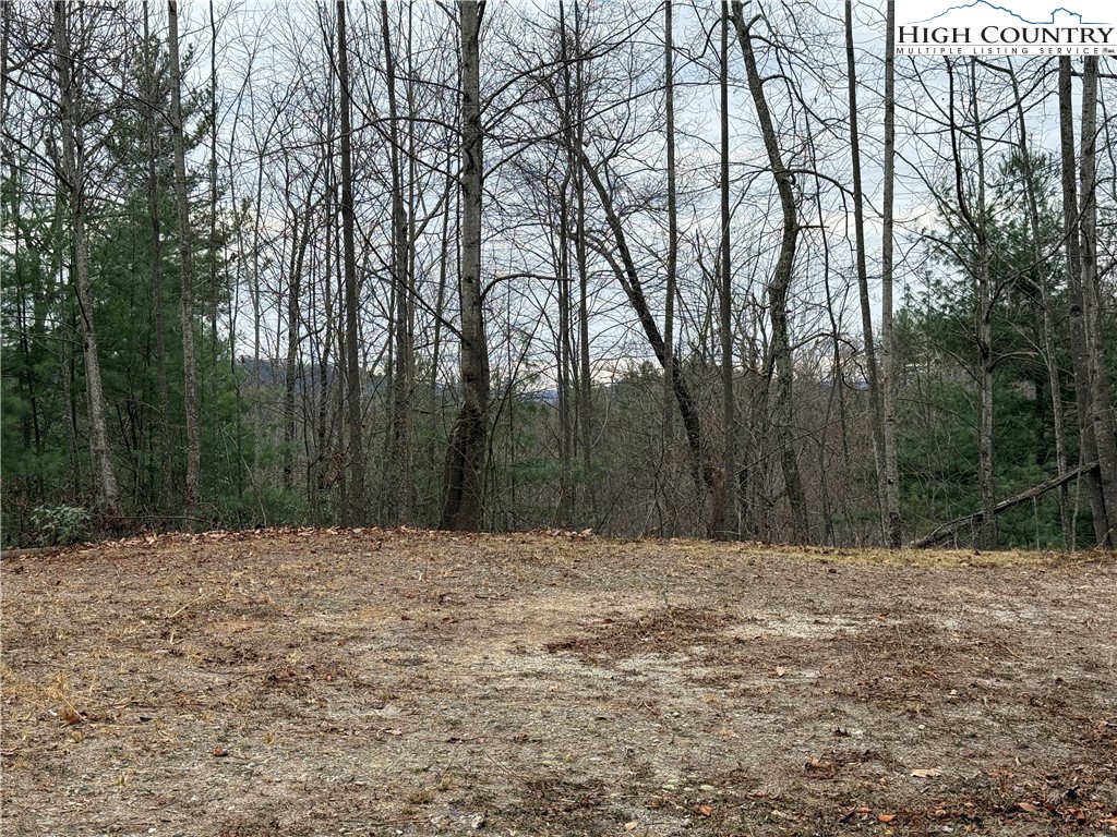 Lot 218 Casey Mountain Road Purlear, NC 28665 - Photo 13 of 48