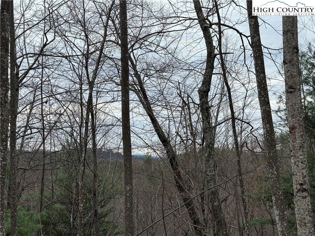 Lot 218 Casey Mountain Road Purlear, NC 28665 - Photo 13 of 48 a view of trees in front of house