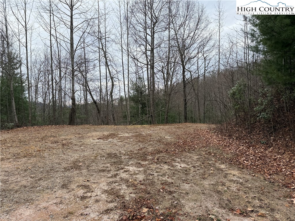 Lot 218 Casey Mountain Road Purlear, NC 28665 - Photo 14 of 48 a view of a backyard of the space