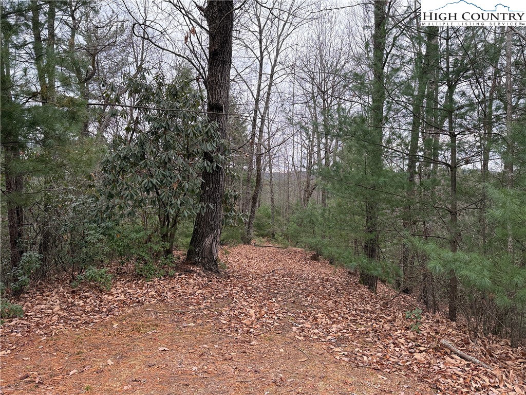 Lot 218 Casey Mountain Road Purlear, NC 28665 - Photo 18 of 48