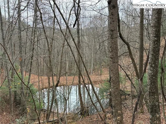 $185,000 | Lot 218 Casey Mountain Road, Purlear, NC 28665