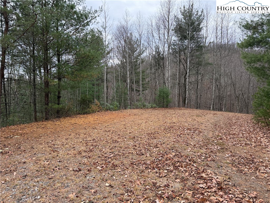 Lot 218 Casey Mountain Road Purlear, NC 28665 - Photo 20 of 48 a backyard of a house with large trees
