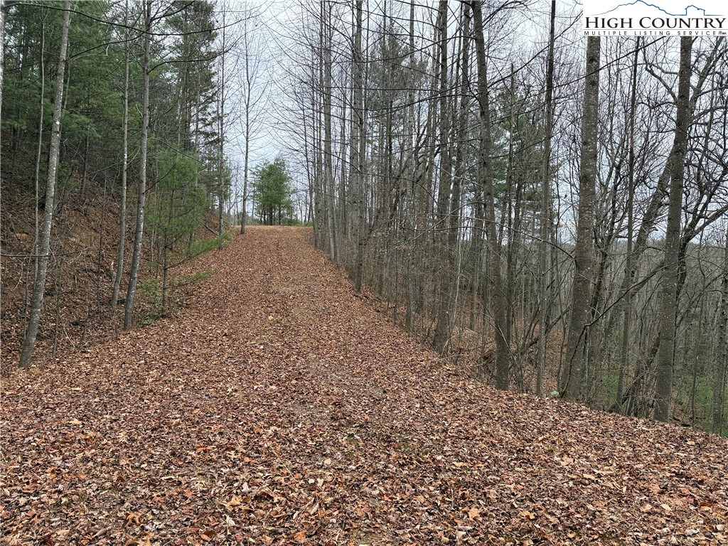 Lot 218 Casey Mountain Road Purlear, NC 28665 - Photo 20 of 48