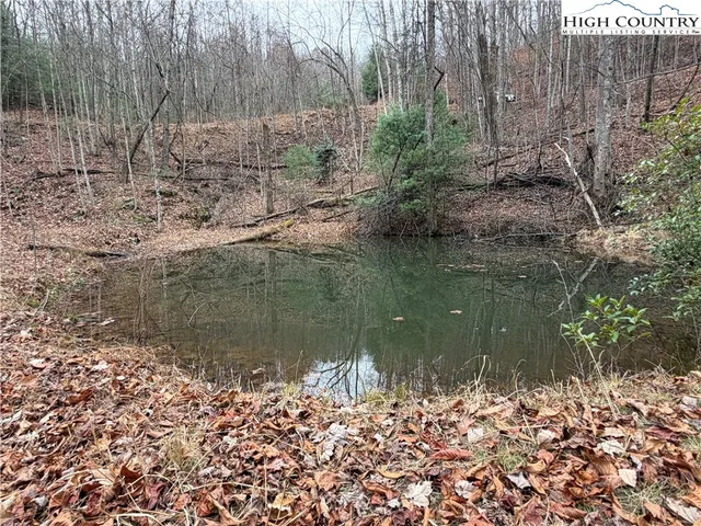 $185,000 | Lot 218 Casey Mountain Road, Purlear, NC 28665