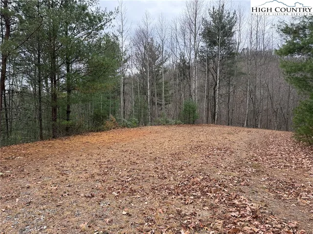 $185,000 | Lot 218 Casey Mountain Road, Purlear, NC 28665