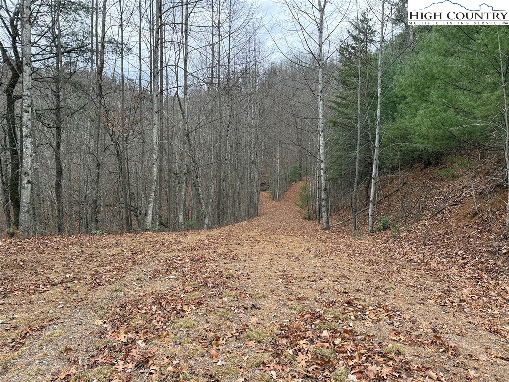 Lot 218 Casey Mountain Road Purlear, NC 28665 - Photo 21 of 48 a backyard of a house with lots of green space