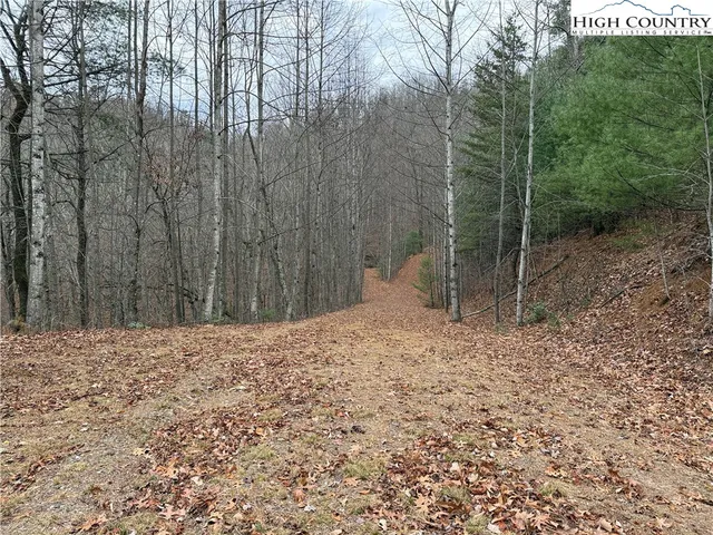 $185,000 | Lot 218 Casey Mountain Road, Purlear, NC 28665