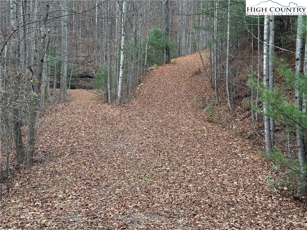 Lot 218 Casey Mountain Road Purlear, NC 28665 - Photo 23 of 48