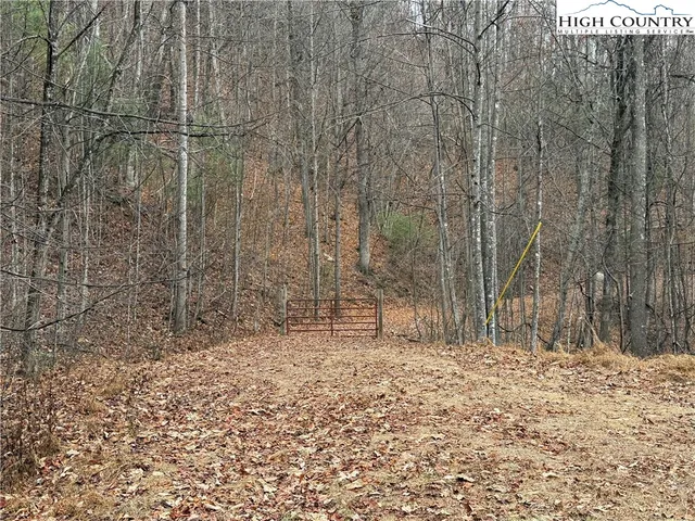 a view of a backyard of the house