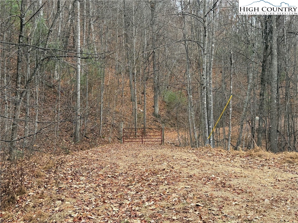 Lot 218 Casey Mountain Road Purlear, NC 28665 - Photo 5 of 48