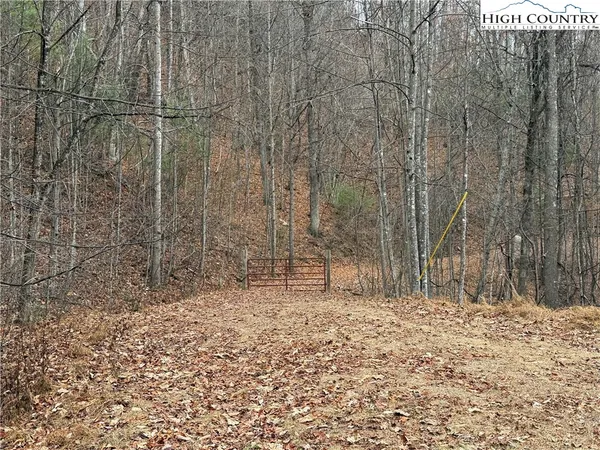a view of a backyard of the house