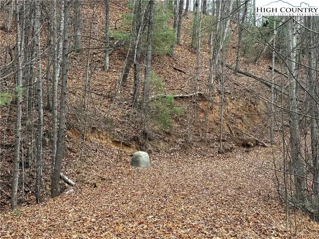 $185,000 | Lot 218 Casey Mountain Road, Purlear, NC 28665