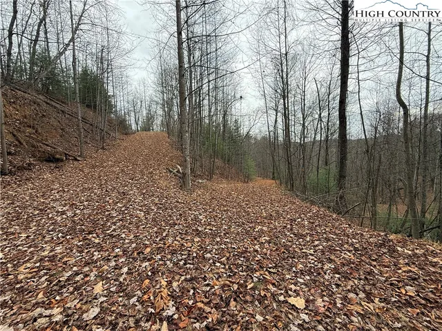 $185,000 | Lot 218 Casey Mountain Road, Purlear, NC 28665