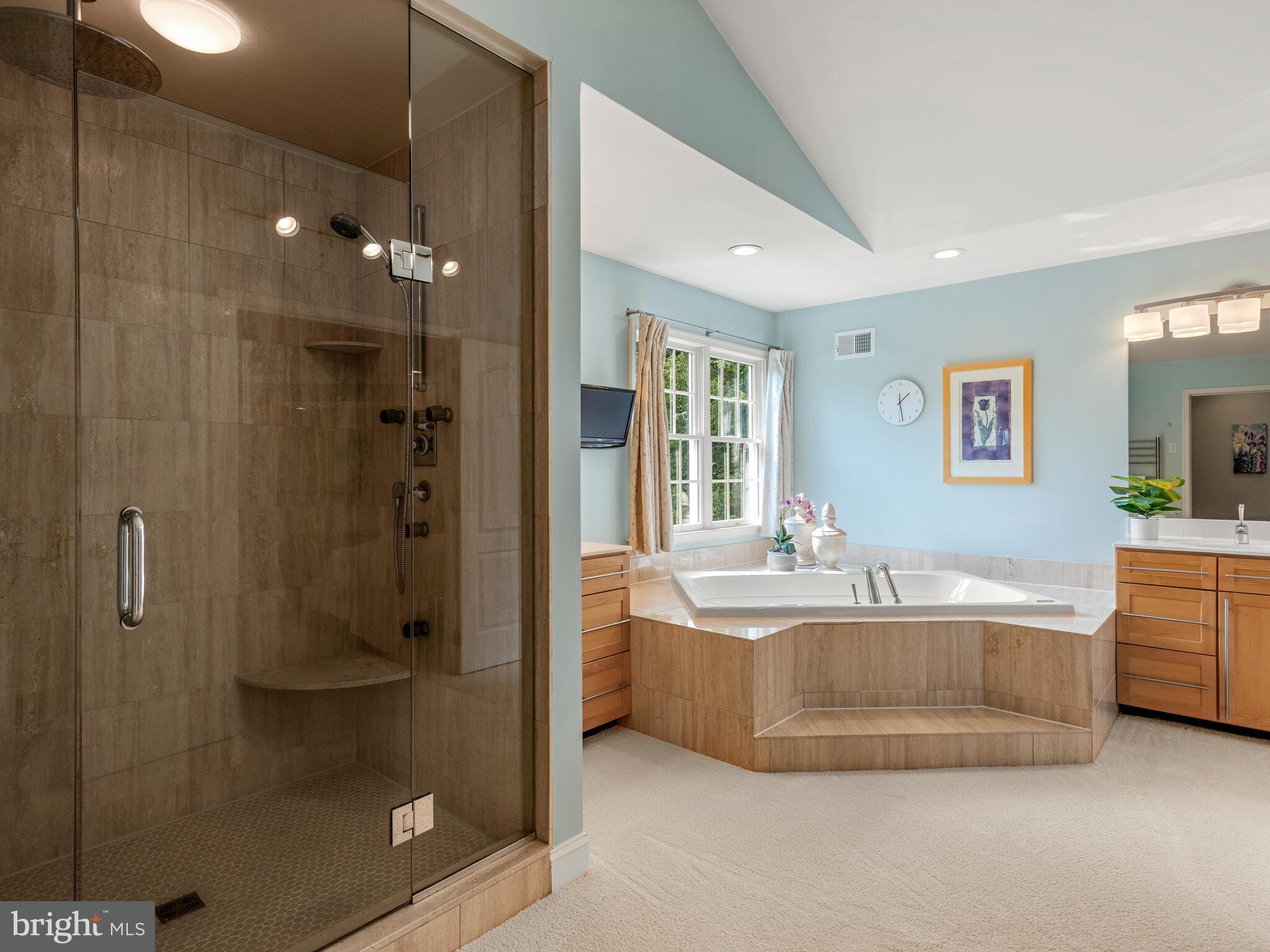 452 Springview Lane Phoenixville, PA 19460 - Photo 40 of 74 a spacious bathroom with a tub sink shower and mirror