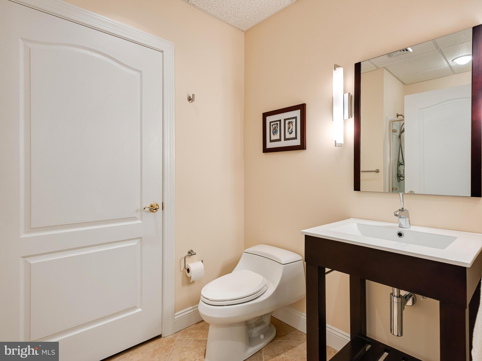 452 Springview Lane Phoenixville, PA 19460 - Photo 57 of 74 a bathroom with a sink and a toilet