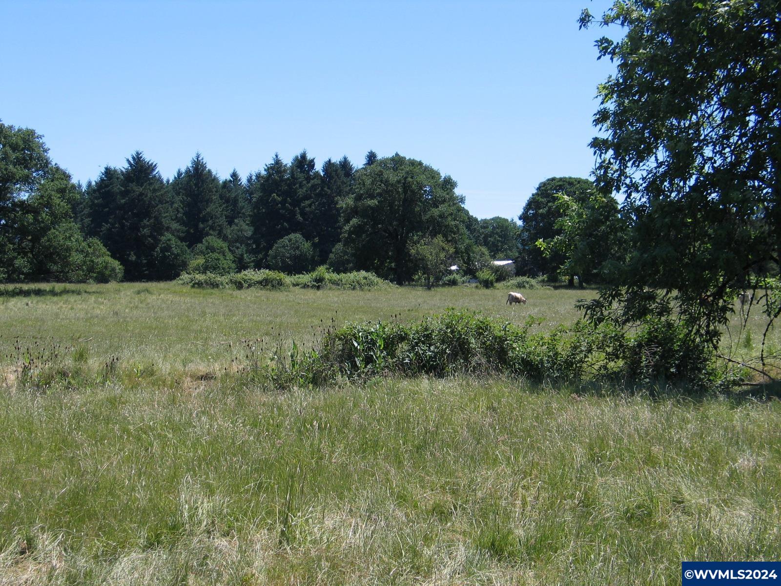 30209 Fairview Road Lebanon, OR 97355 - Photo 9 of 32