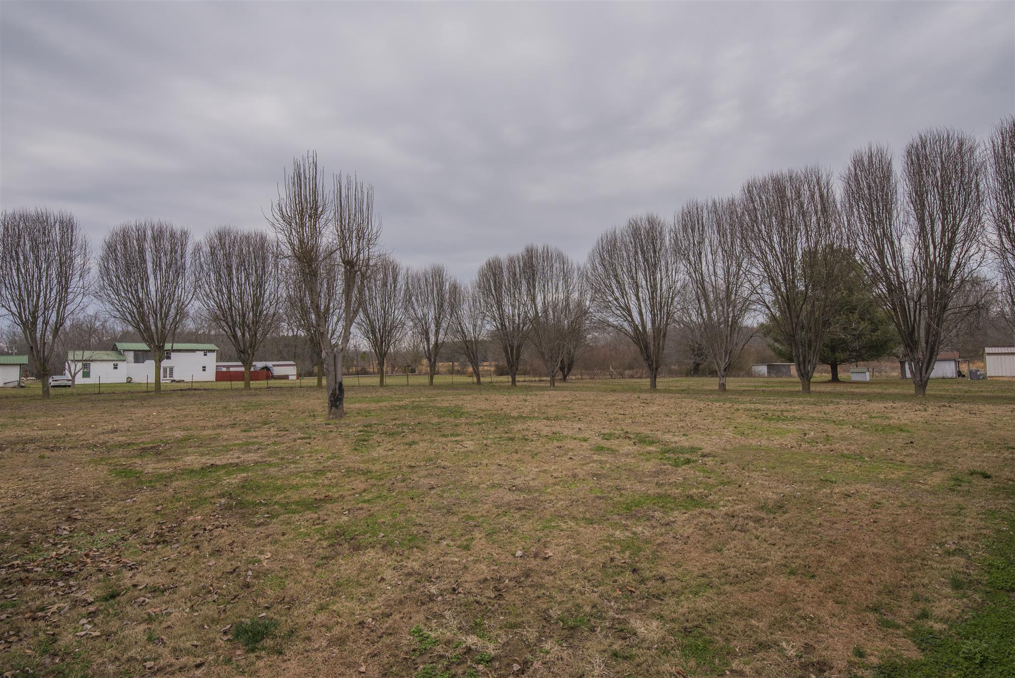 123 Norris Perry Road Manchester, TN 37355 - Photo 19 of 23 a view of a field with trees