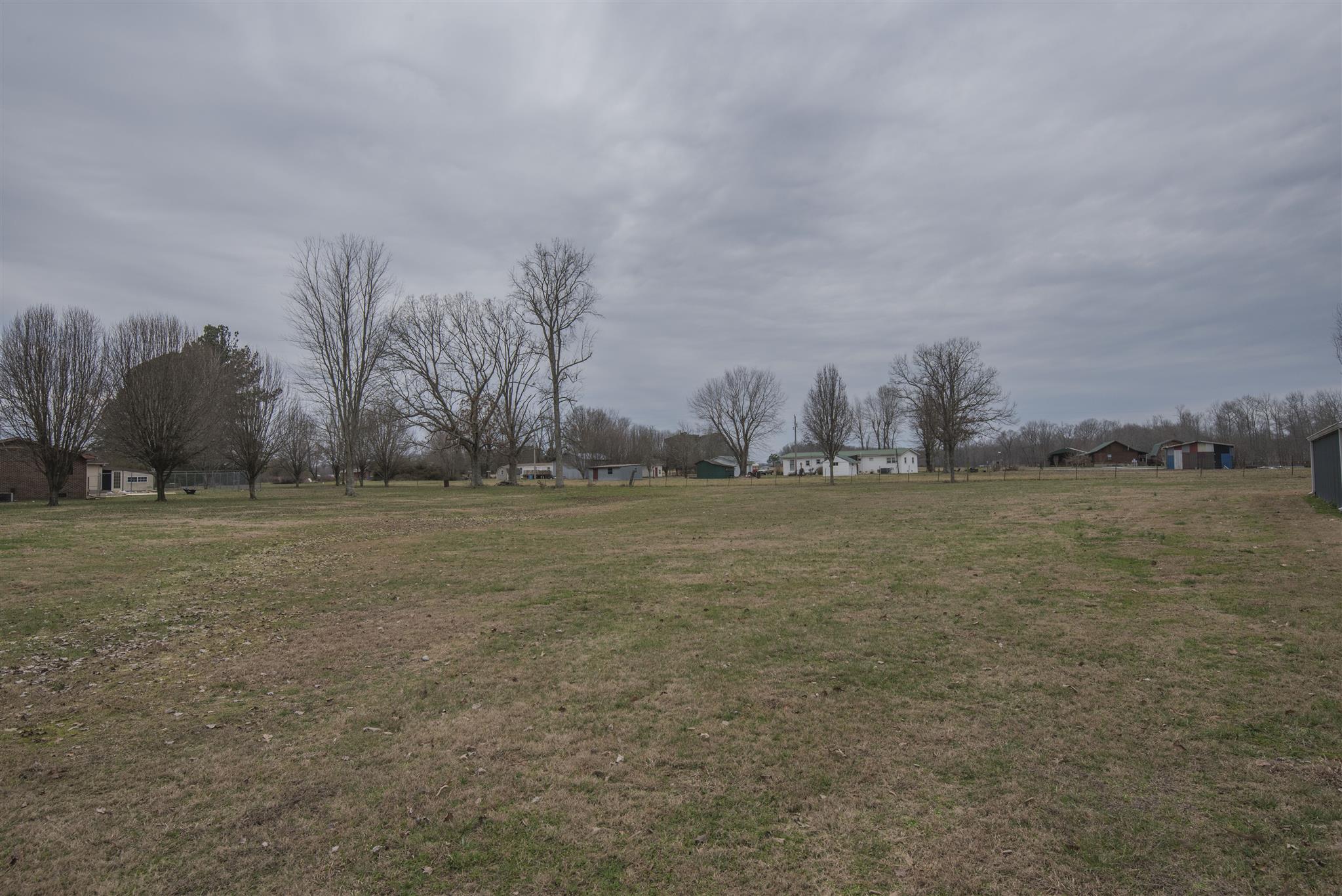 123 Norris Perry Road Manchester, TN 37355 - Photo 20 of 23 a view of a field with trees