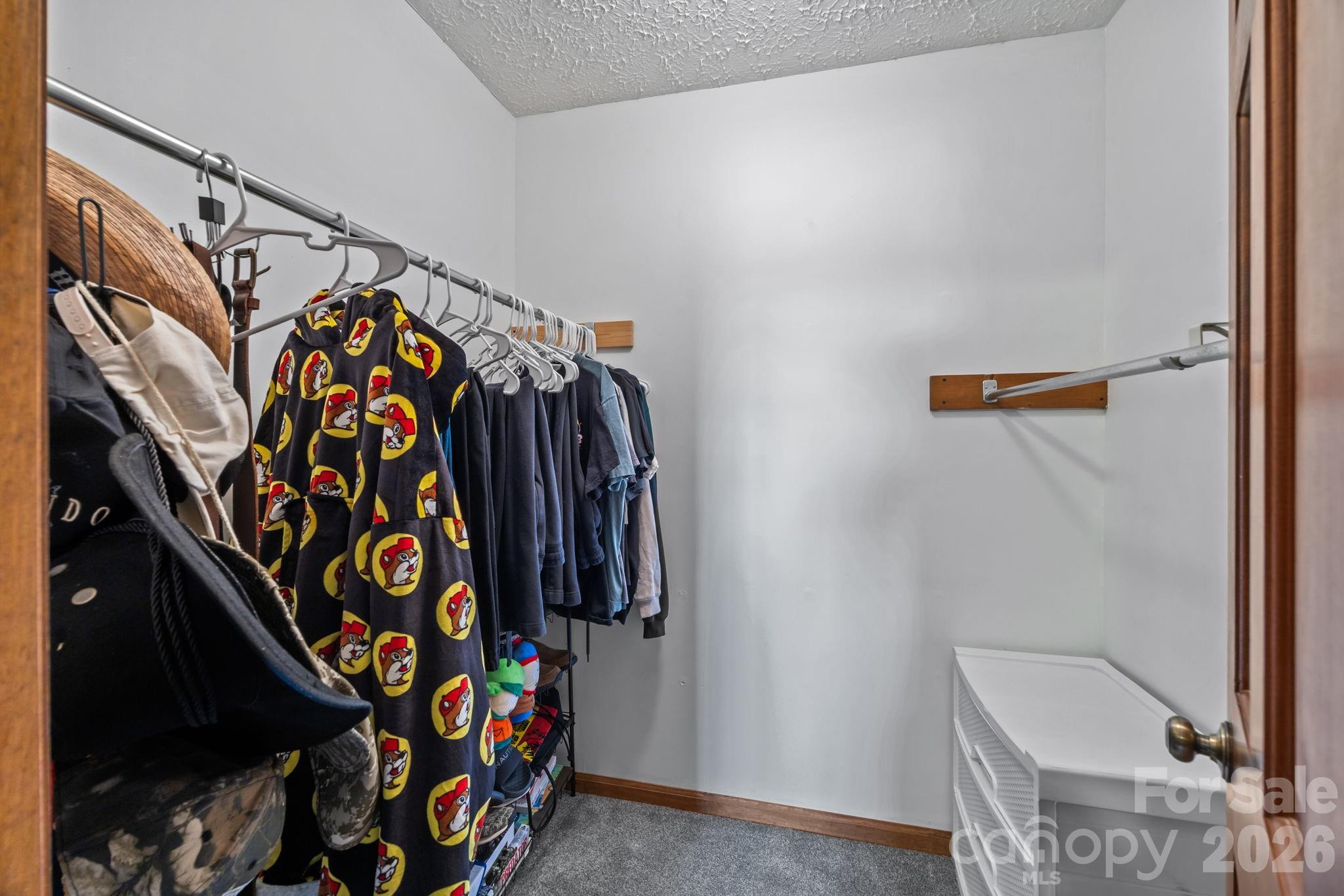 360 Whitaker Road Mooresboro, NC 28114 - Photo 28 of 48 Gallery Image 28