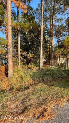 $8,500 | Exchange Street, Gautier, MS 39553