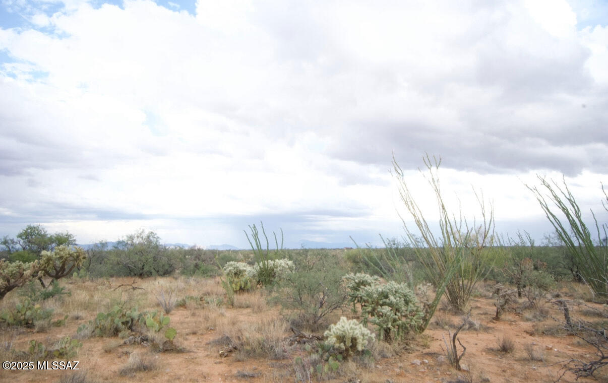 14536 West Diamond Bell Ranch Road, Unit 406 Tucson, AZ 85736 - Photo 11 of 16