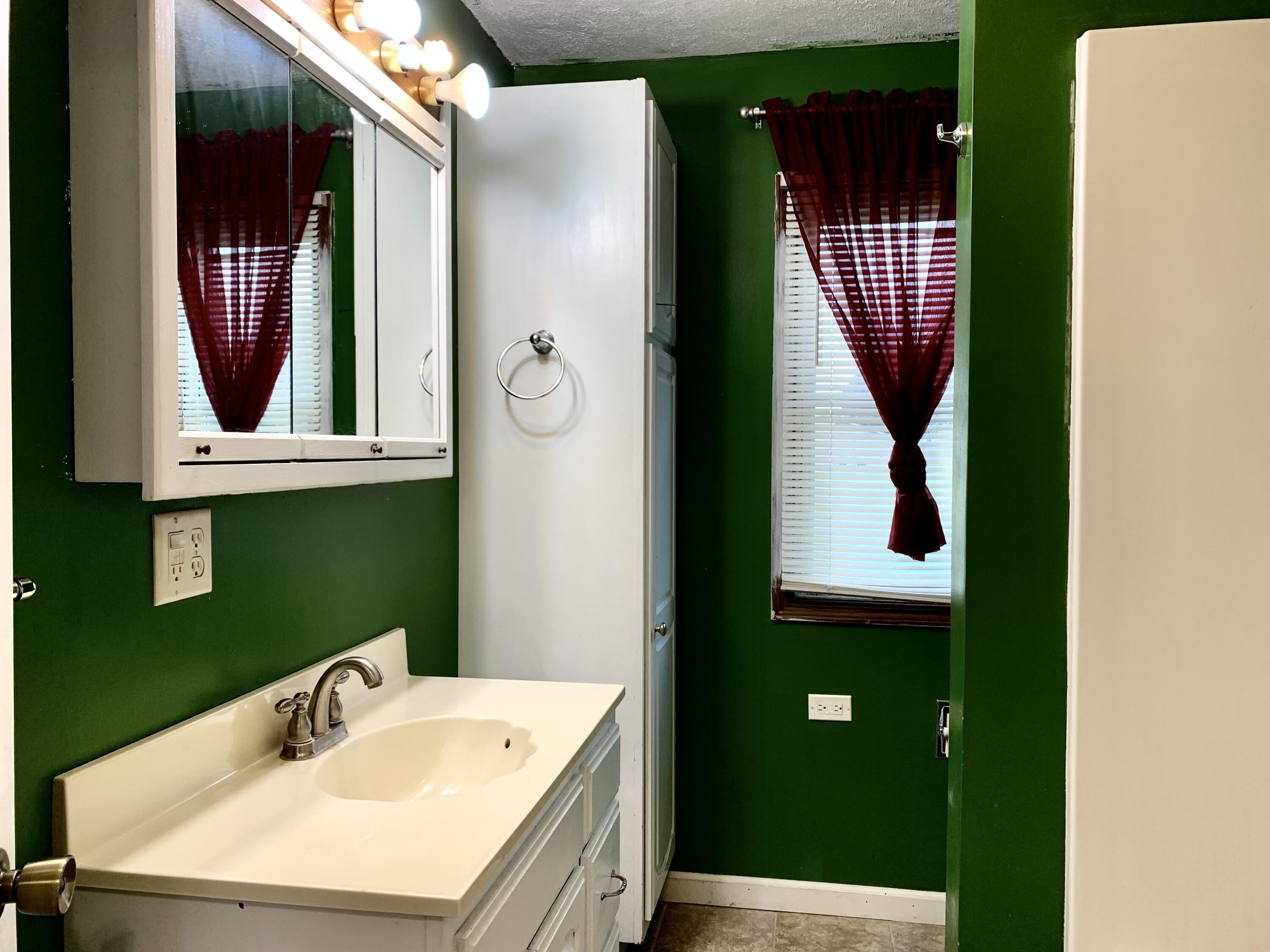 69588 Baldwin Prairie Road Union, MI 49130 - Photo 12 of 23 Bathroom