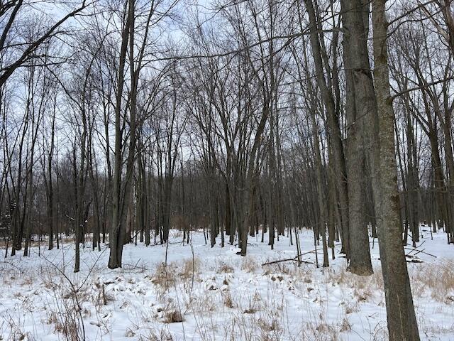 1 1 Mile Road Lakeview, MI 48850 - Photo 4 of 9 IMG_9810