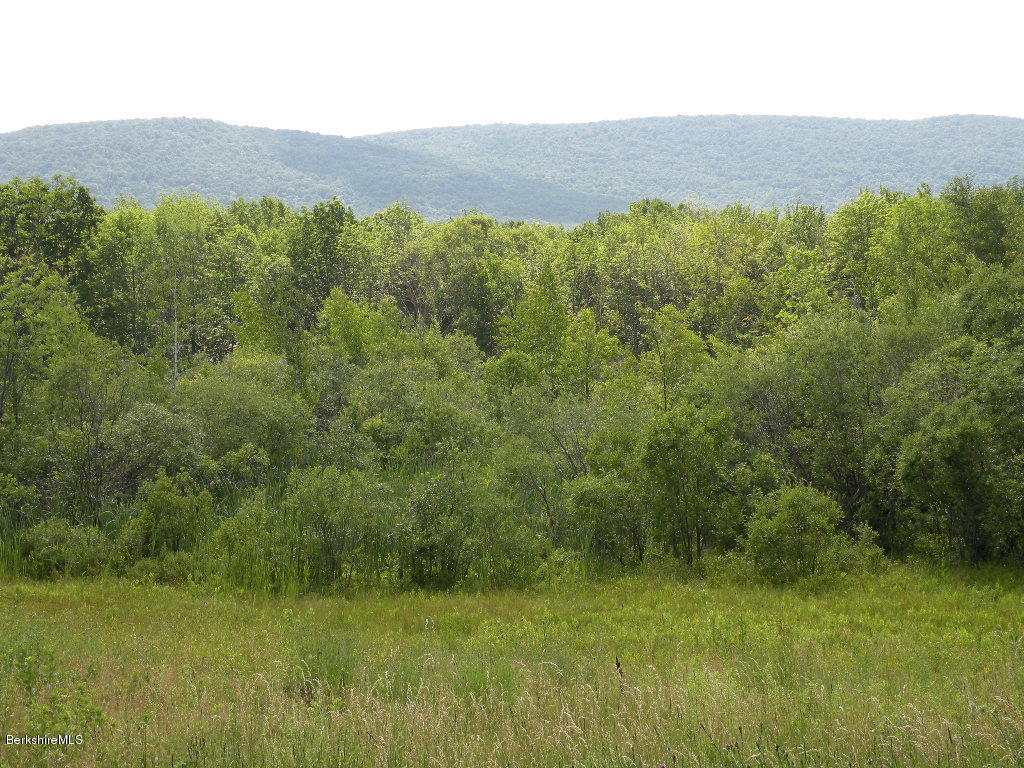 Whitman Road Williamstown, MA 01267 - Photo 13 of 16 07-12-18 011