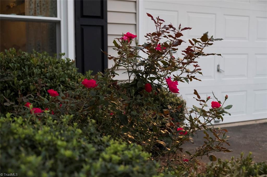 6320 Hampton Knoll Road Clemmons, NC 27012 - Photo 23 of 24 Gallery Image 23