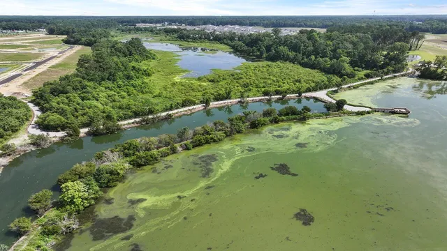 $429,655 | 442 Tulip Poplar Drive, Moncks Corner, SC 29461