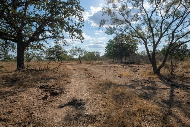 a view of a yard with a tree