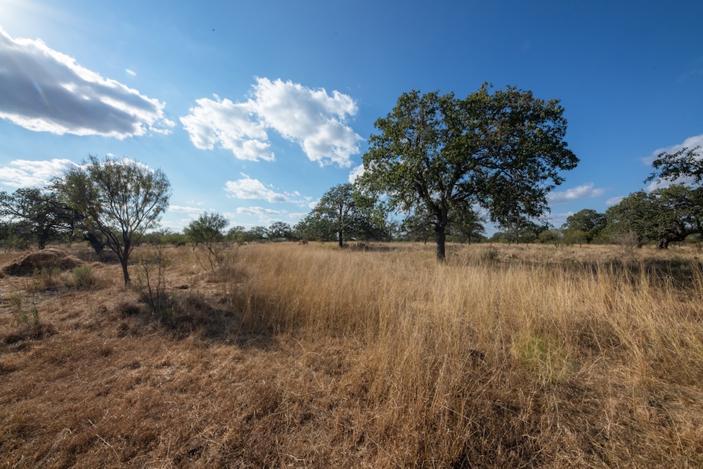 Undisclosed Address Rocksprings, TX 78880 - Photo 2 of 12