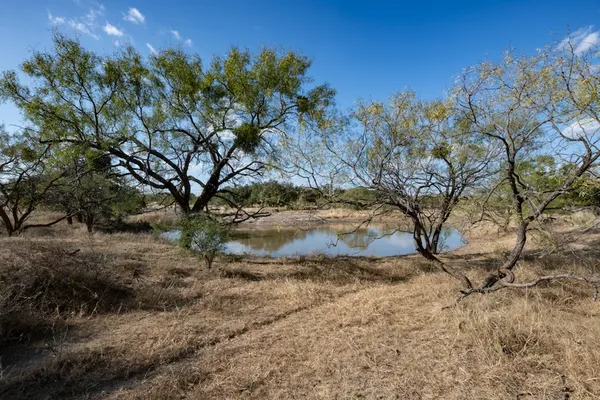 a view of a dry yard with trees