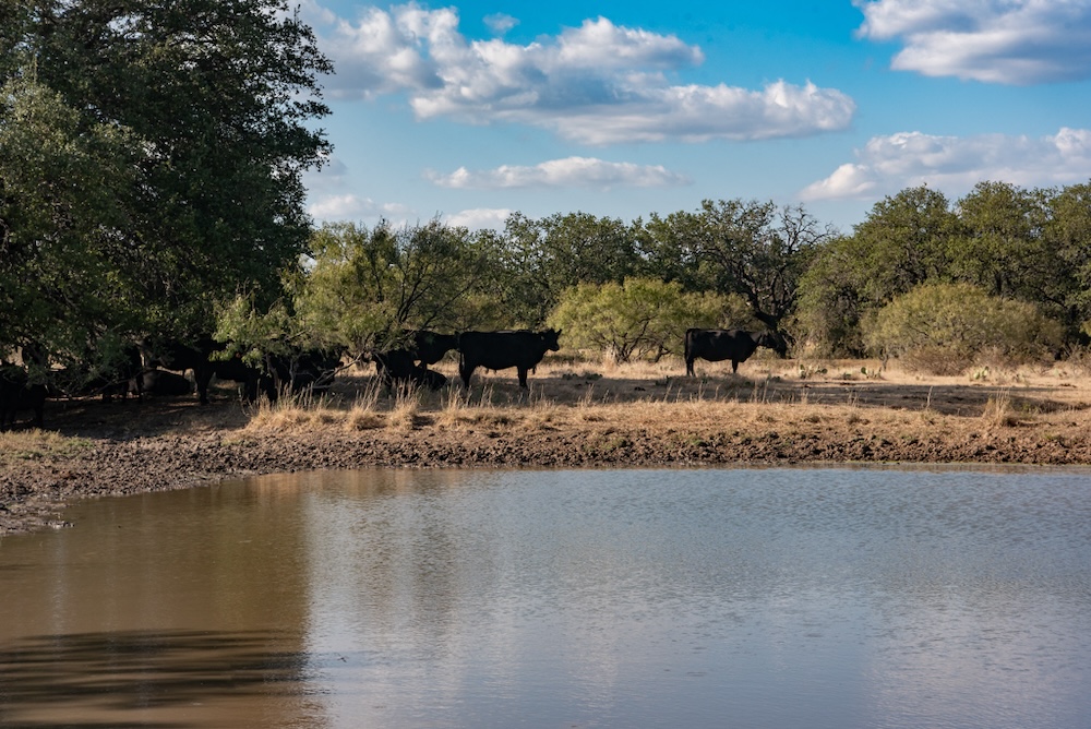 Undisclosed Address Rocksprings, TX 78880 - Photo 9 of 12 a view of a lake with a house