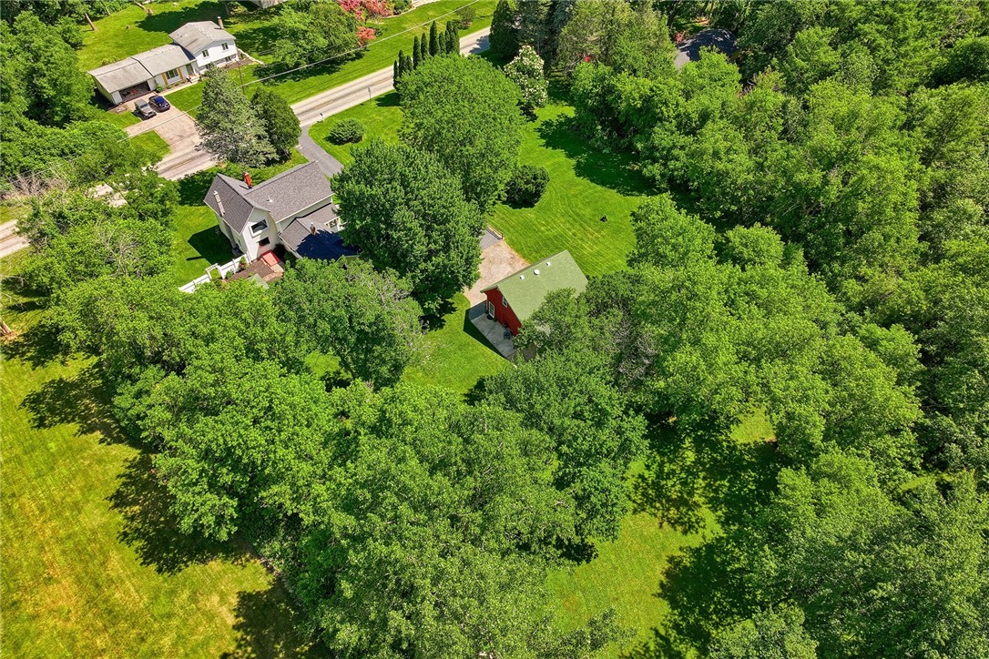 956 Willits Road Ontario, NY 14519 - Photo 3 of 50 Beautiful yard with matured trees.