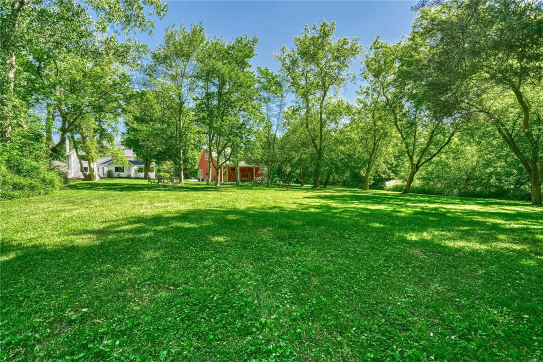 956 Willits Road Ontario, NY 14519 - Photo 43 of 50 Looking back toward the house from the edge of the