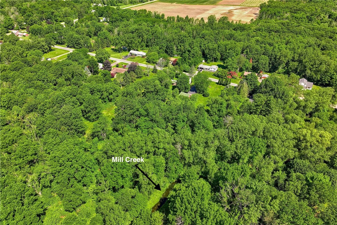 956 Willits Road Ontario, NY 14519 - Photo 48 of 50 Mill Creek runs through the back corner of the pro