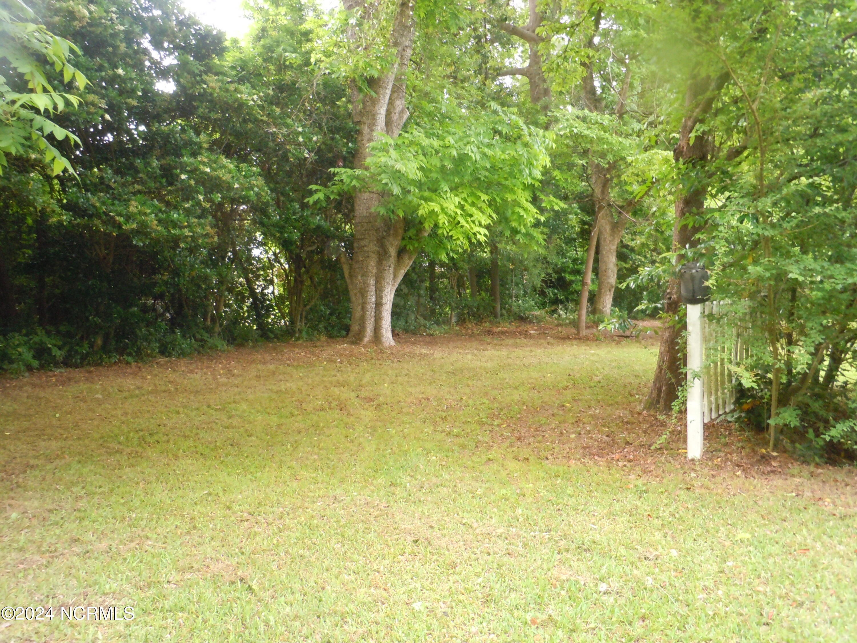 503 Pireway Road Tabor City, NC 28463 - Photo 44 of 47 DSCN8620