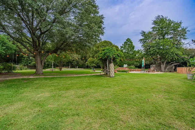 a view of a park with tree s