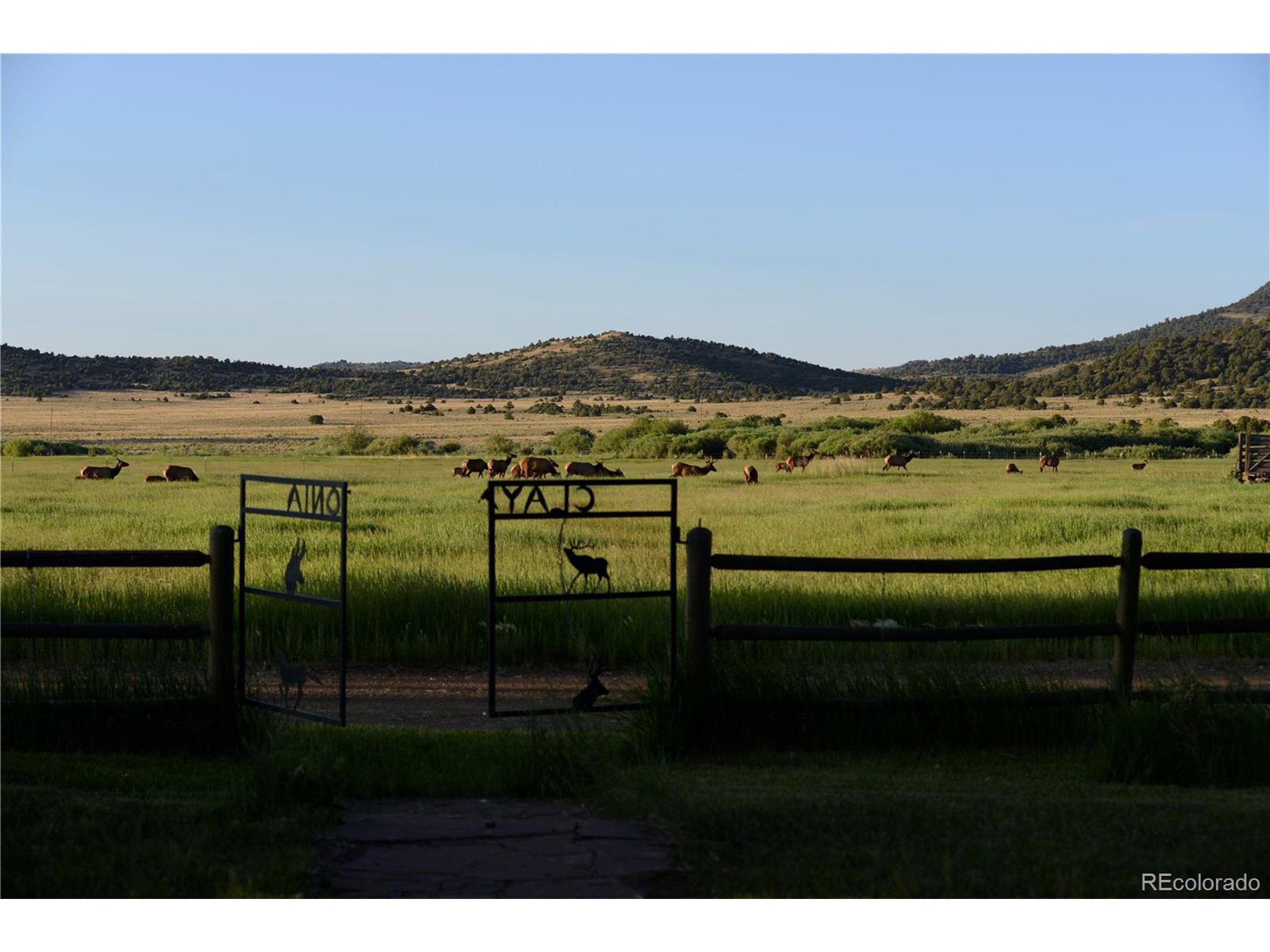 54400 County Rd LL56 Villa Grove, CO 81155 - Photo 20 of 40