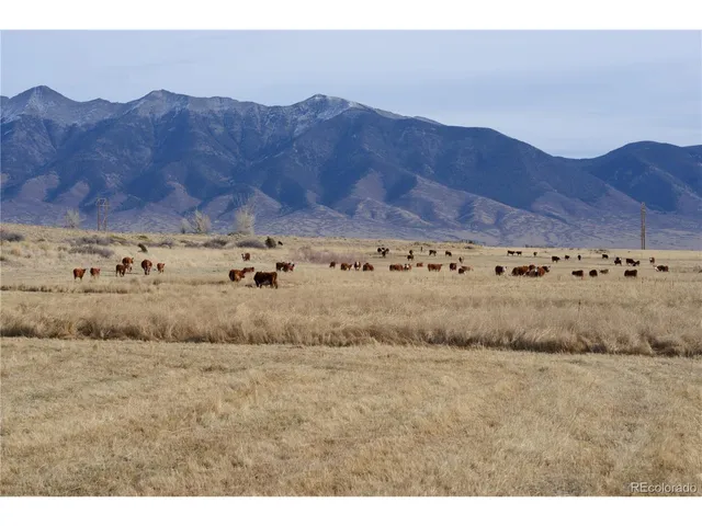 $2,595,000 | 54400 County Rd LL56, Villa Grove, CO 81155